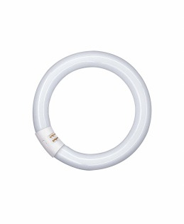 Лампа кольцевая 22W/PHILIPS фото 1